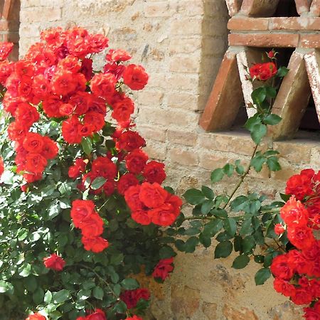 Fattoria Agriturismo Nerbona Casole d'Elsa Luaran gambar