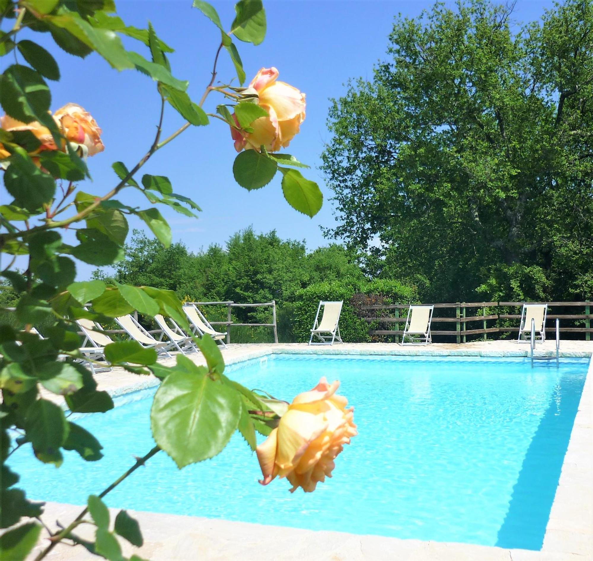 Fattoria Agriturismo Nerbona Villa Casole d'Elsa Luaran gambar