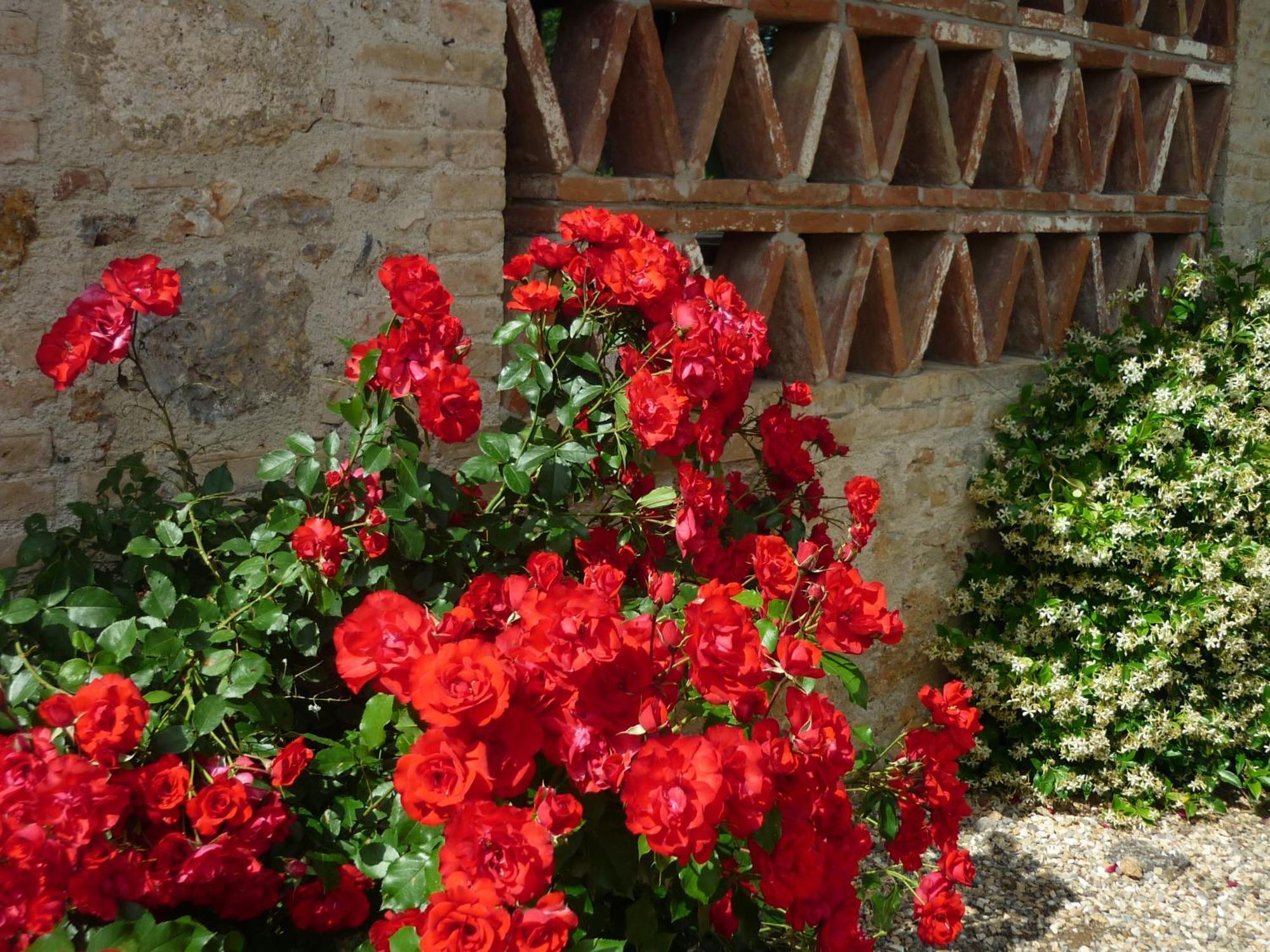 Fattoria Agriturismo Nerbona Villa Casole d'Elsa Luaran gambar