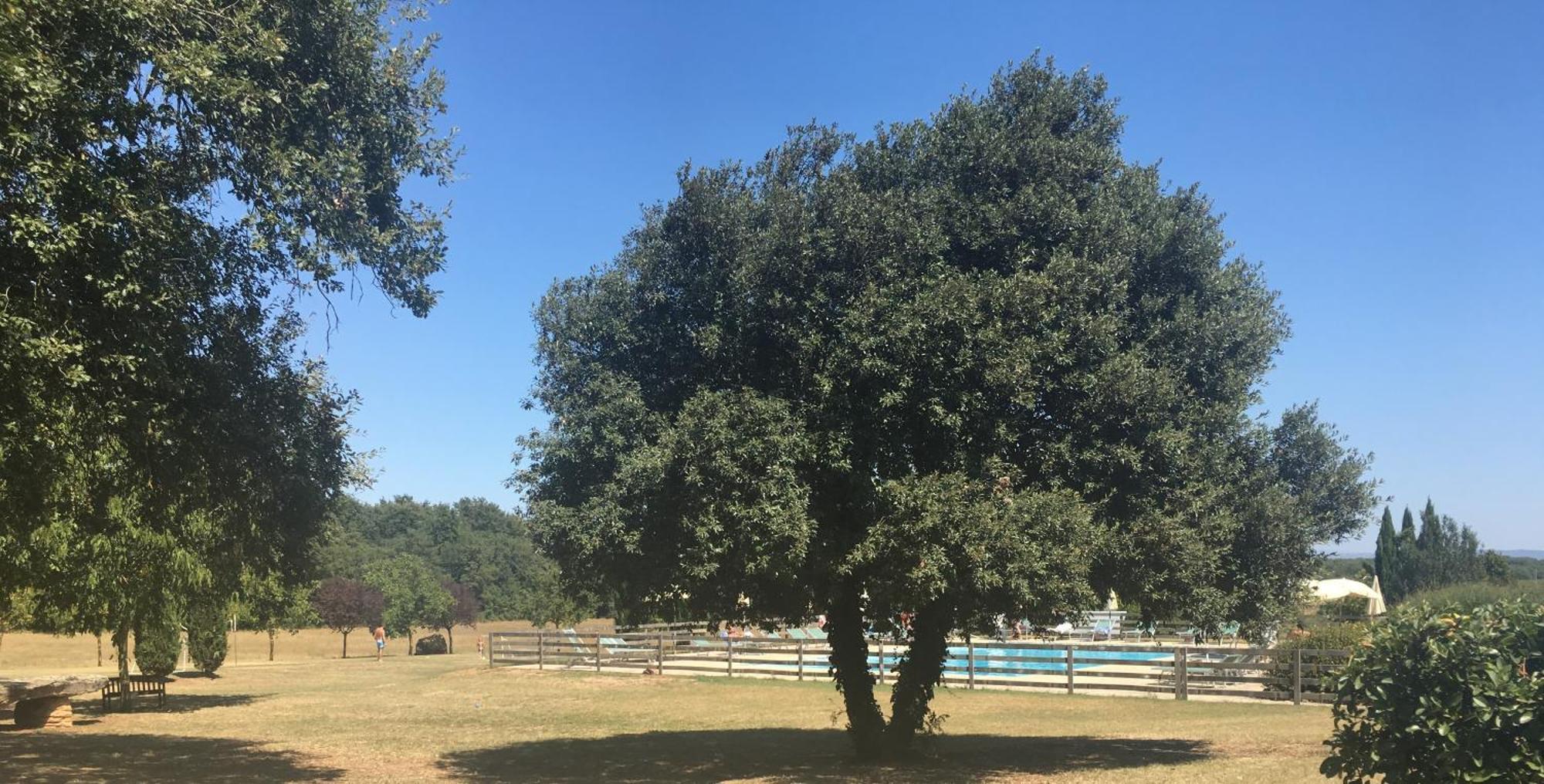 Fattoria Agriturismo Nerbona Villa Casole d'Elsa Luaran gambar