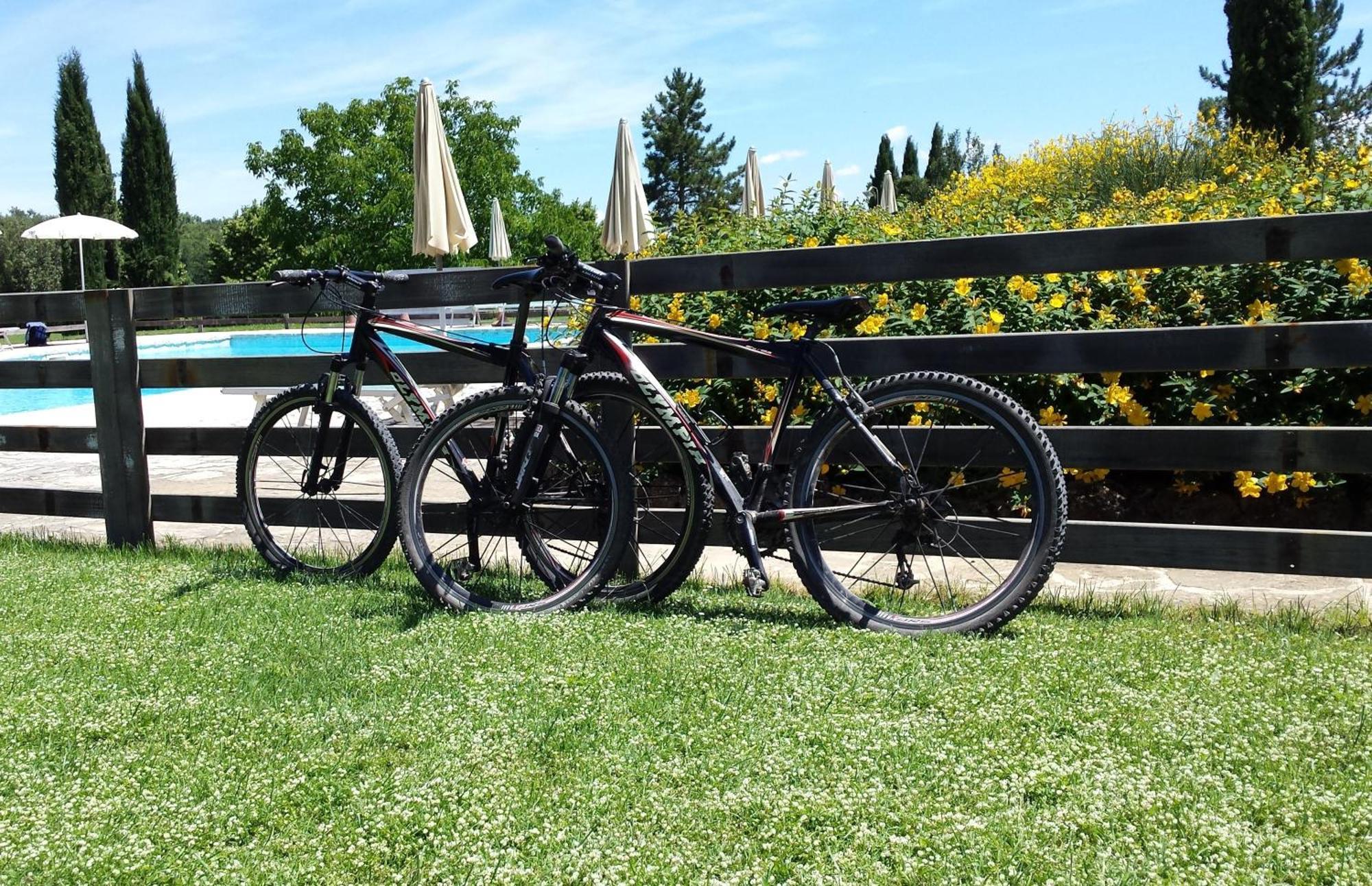 Fattoria Agriturismo Nerbona Casole d'Elsa Luaran gambar