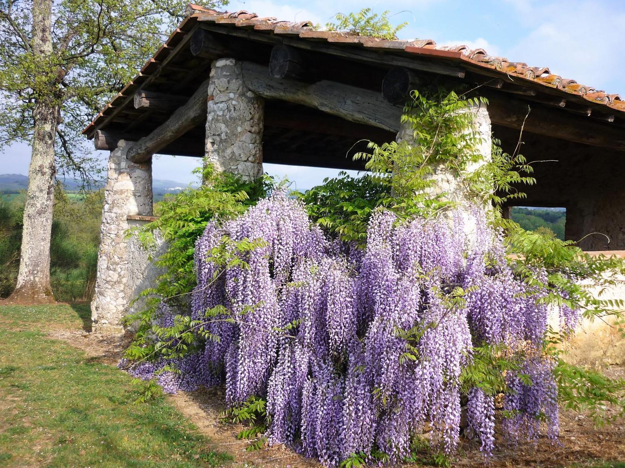 Fattoria Agriturismo Nerbona Villa Casole d'Elsa Luaran gambar