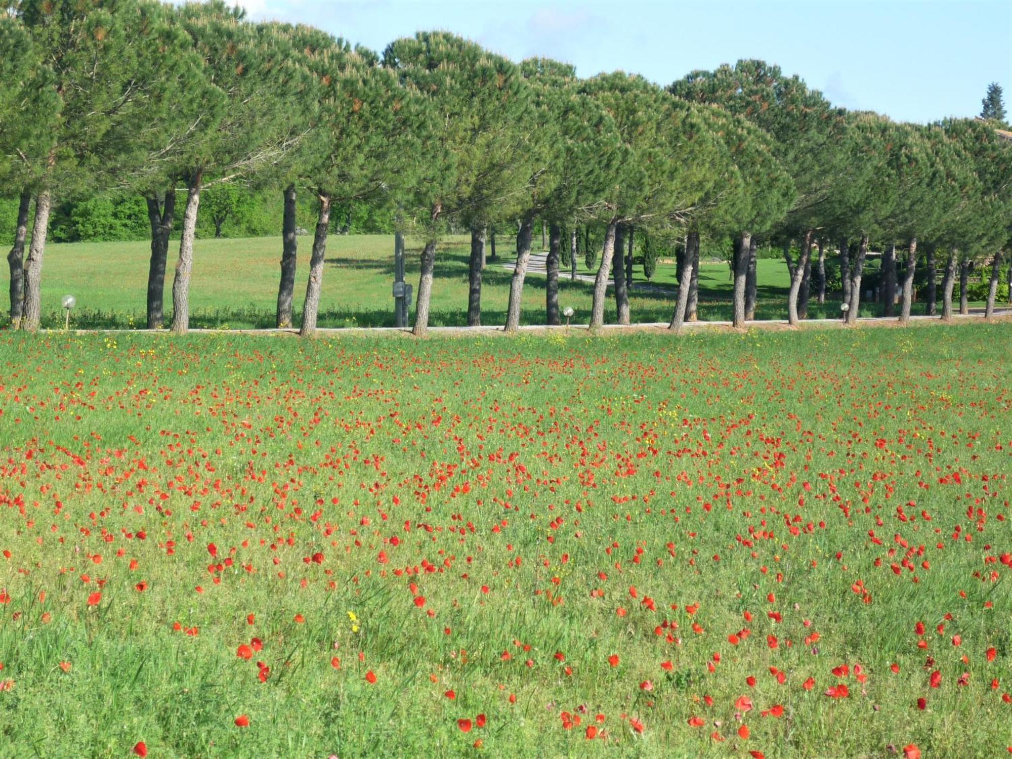 Fattoria Agriturismo Nerbona Villa Casole d'Elsa Luaran gambar