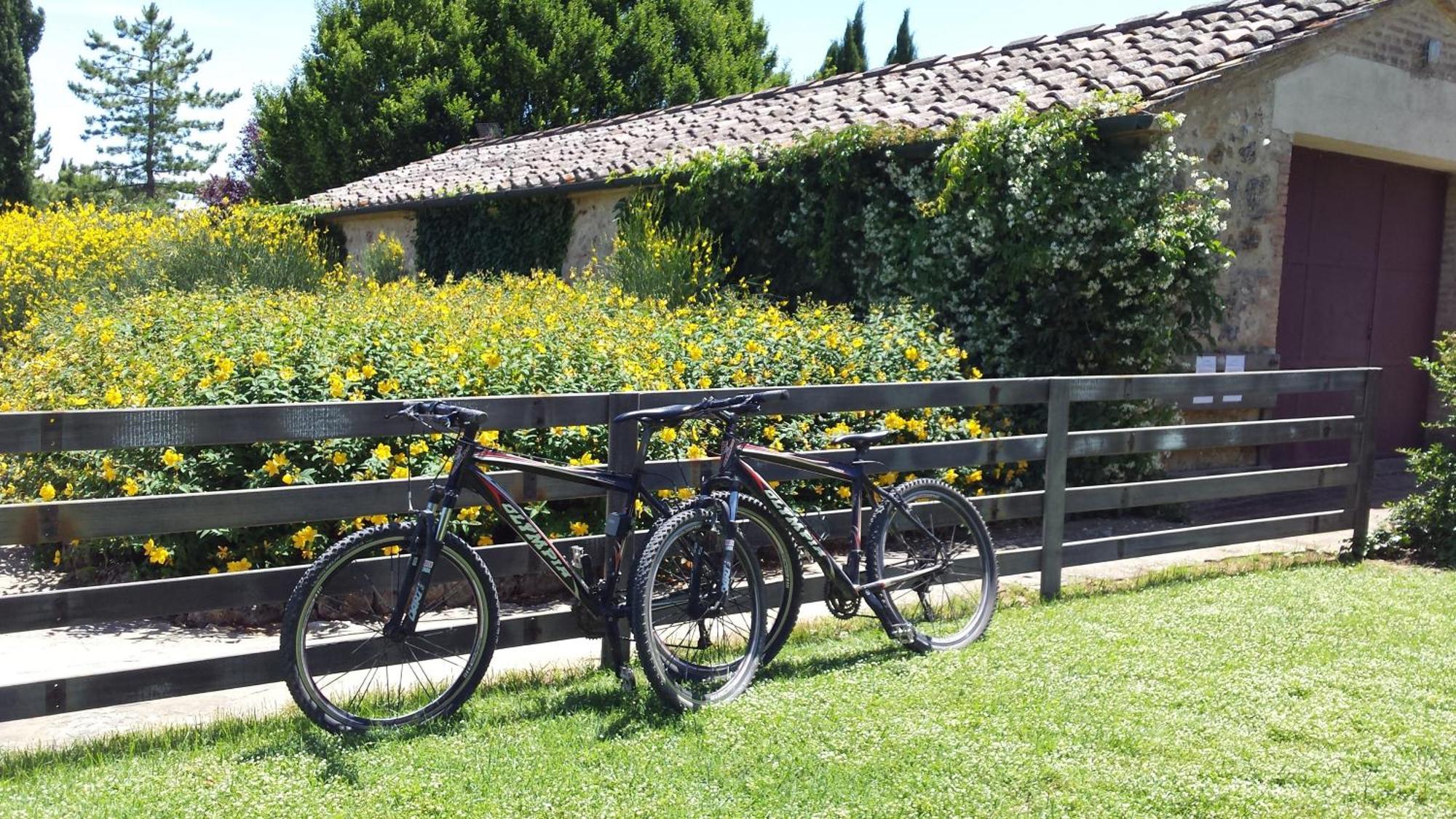 Fattoria Agriturismo Nerbona Casole d'Elsa Luaran gambar