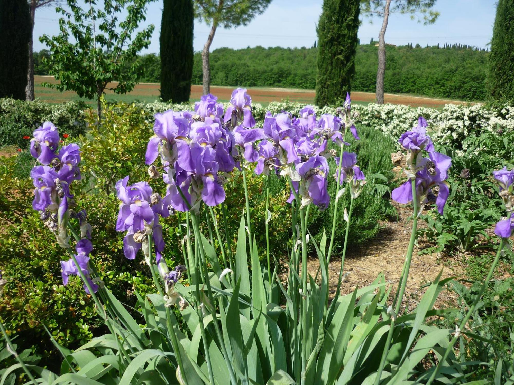 Fattoria Agriturismo Nerbona Villa Casole d'Elsa Luaran gambar