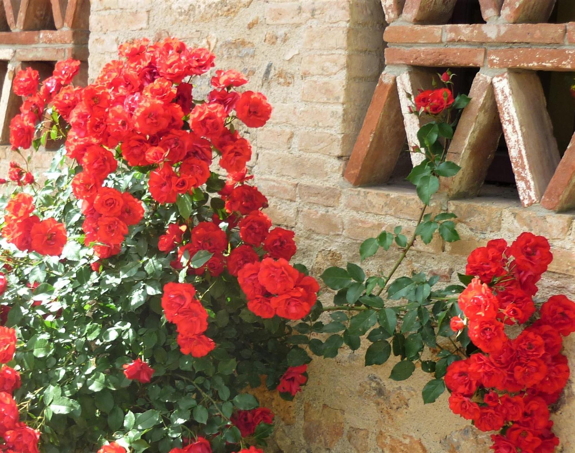 Fattoria Agriturismo Nerbona Villa Casole d'Elsa Luaran gambar