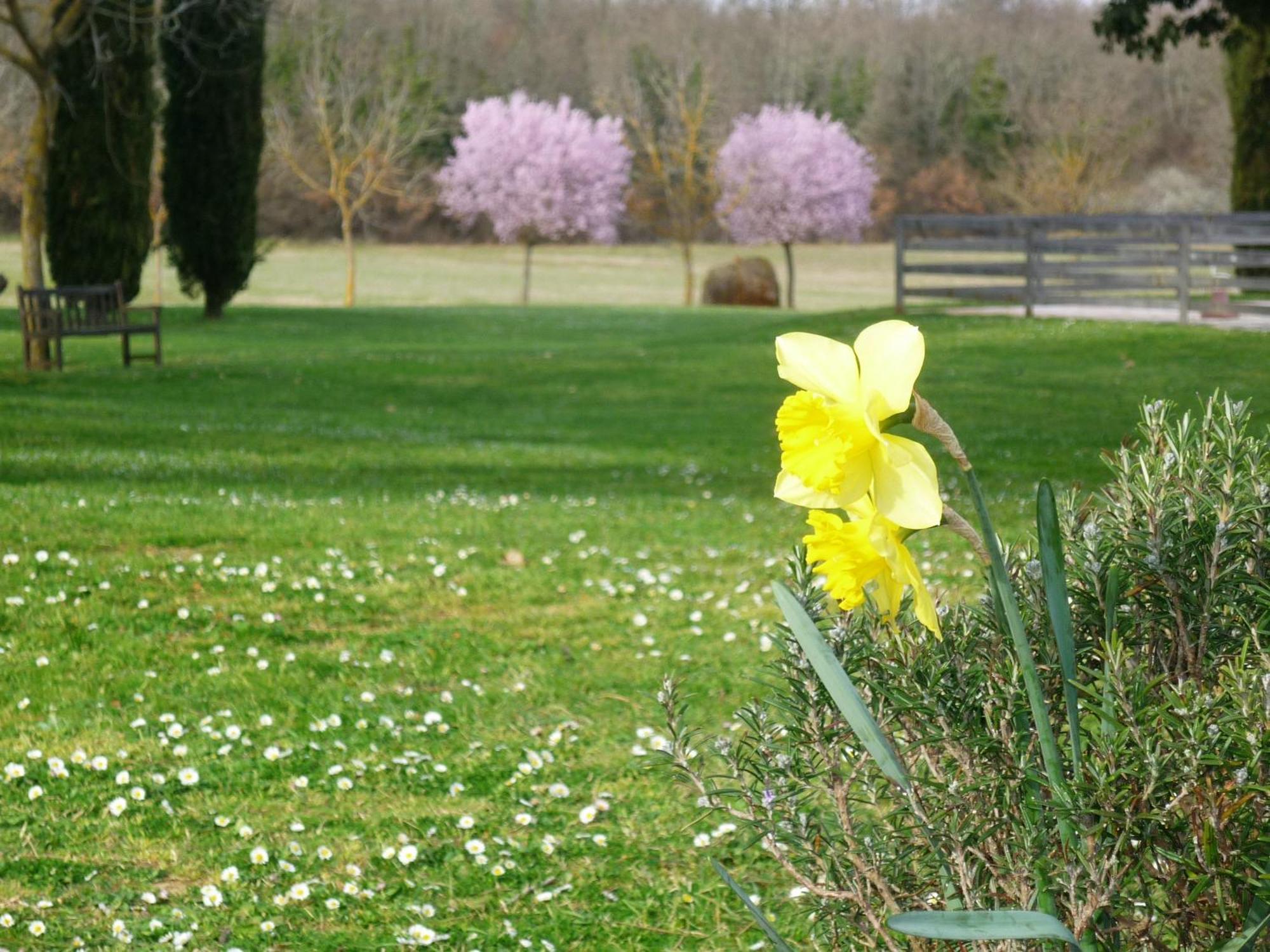 Fattoria Agriturismo Nerbona Casole d'Elsa Luaran gambar
