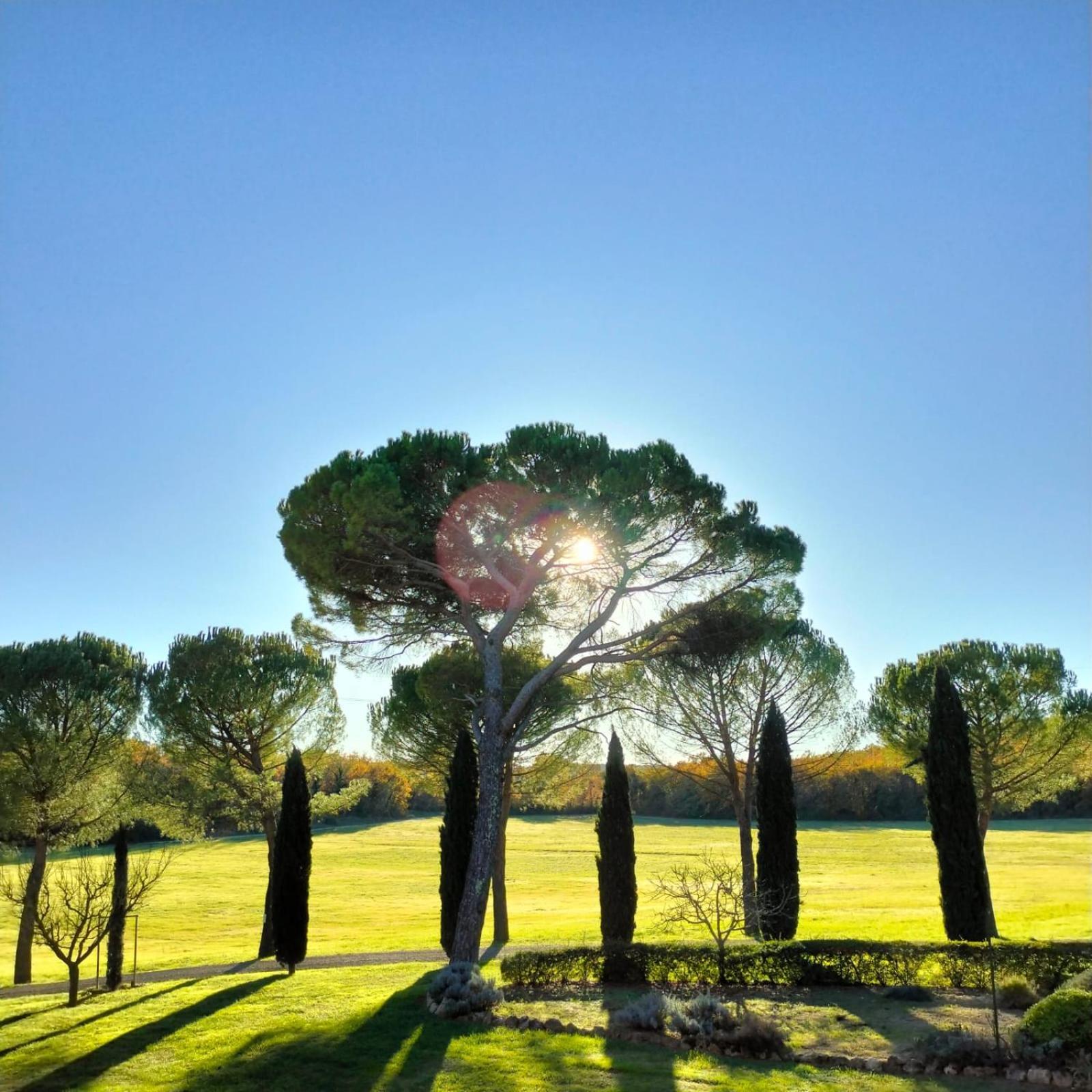 Fattoria Agriturismo Nerbona Casole d'Elsa Luaran gambar